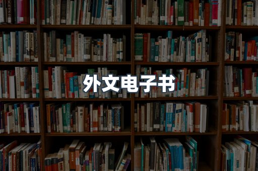 外文电子书